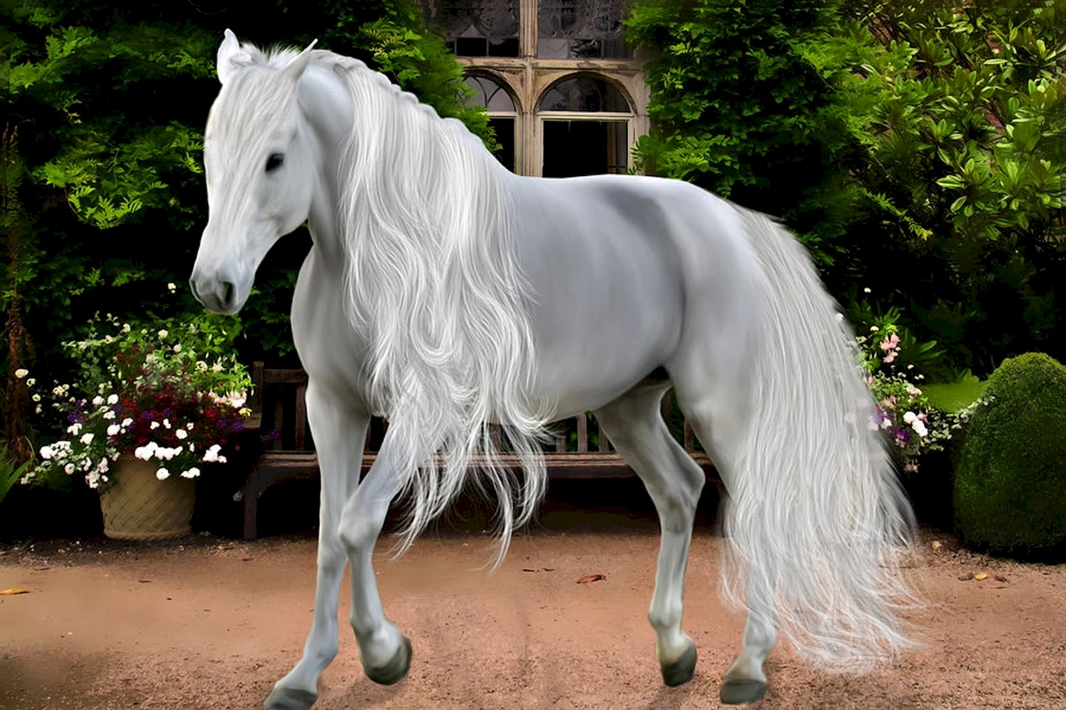 Фризская лошадь белая