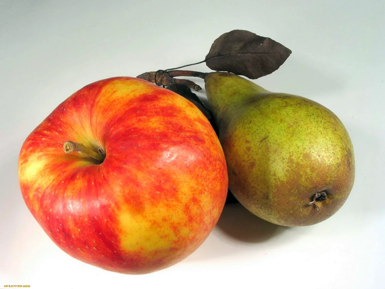 Фрукты яблоки груши