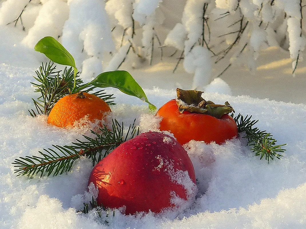 Фрукты на снегу