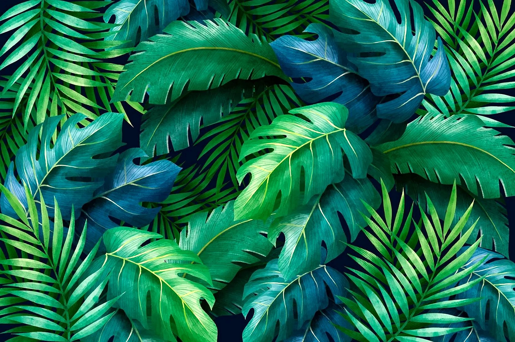 Гавайи растения пальмы листья