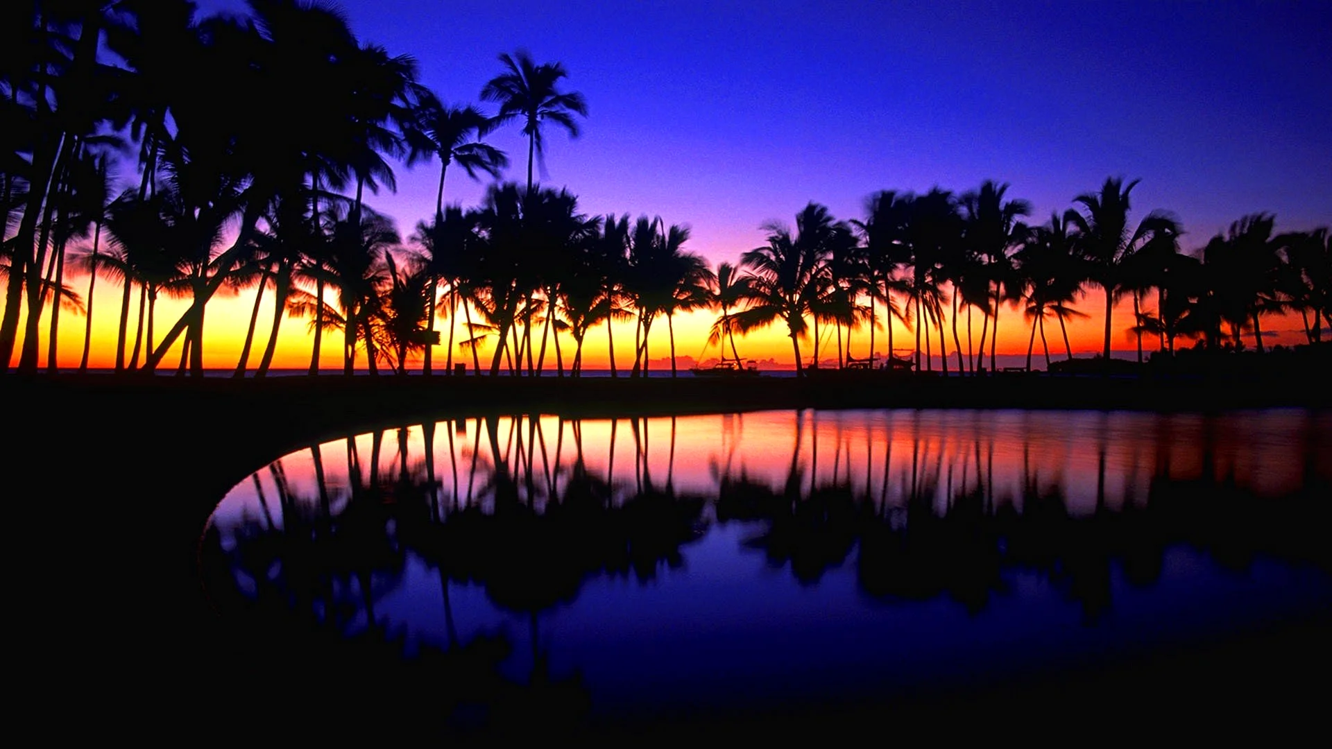 Гавайи закат пальмы