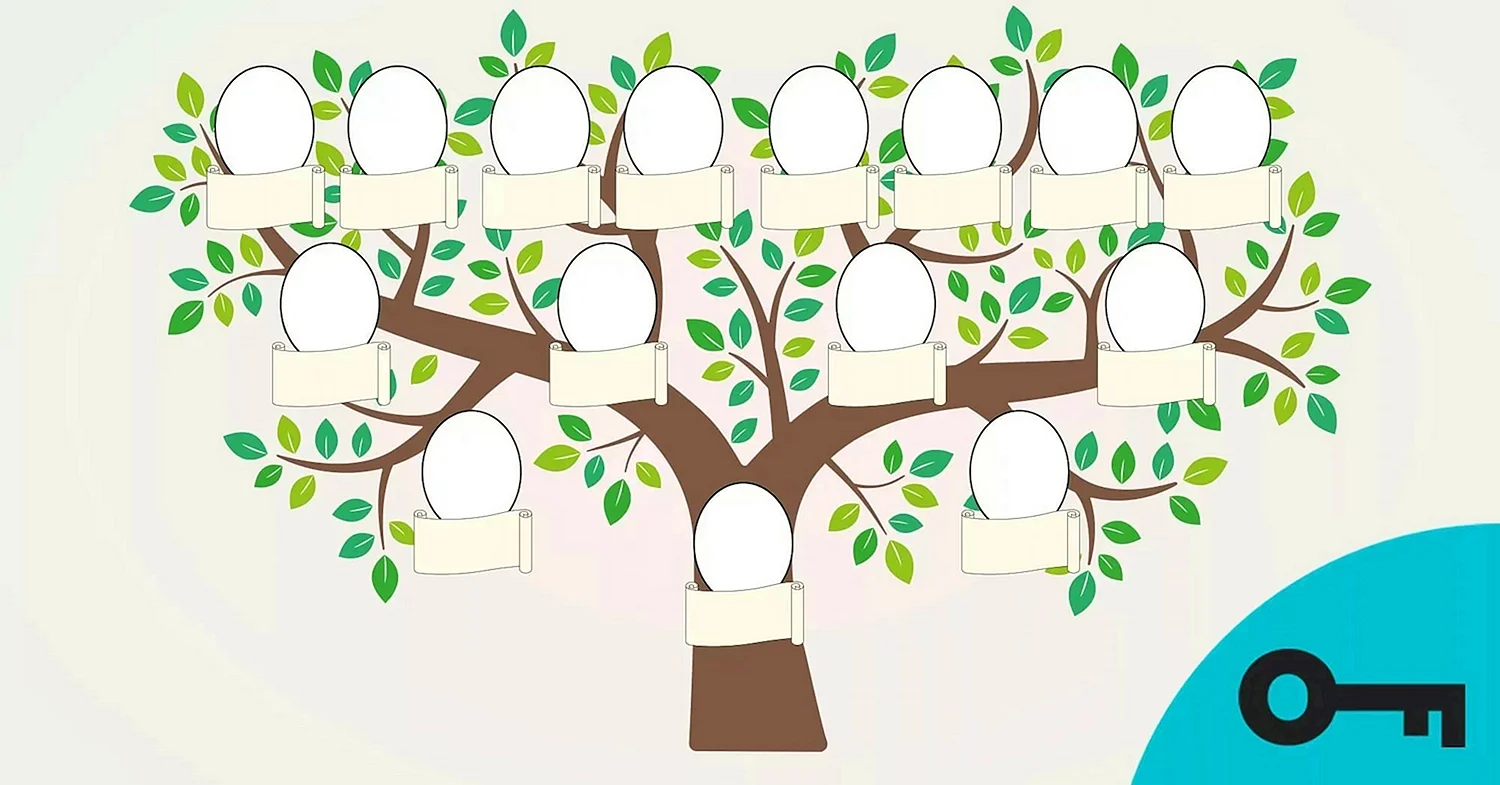 Генеалогическое дерево шаблон