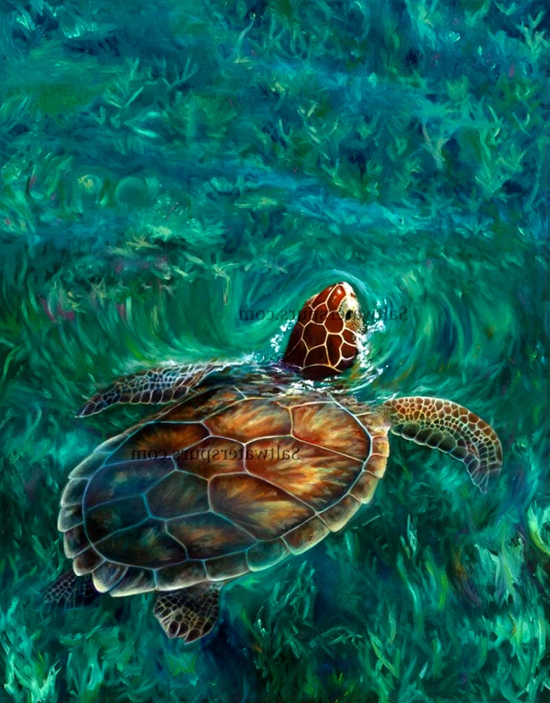Гиперреализм черепаха живопись морская