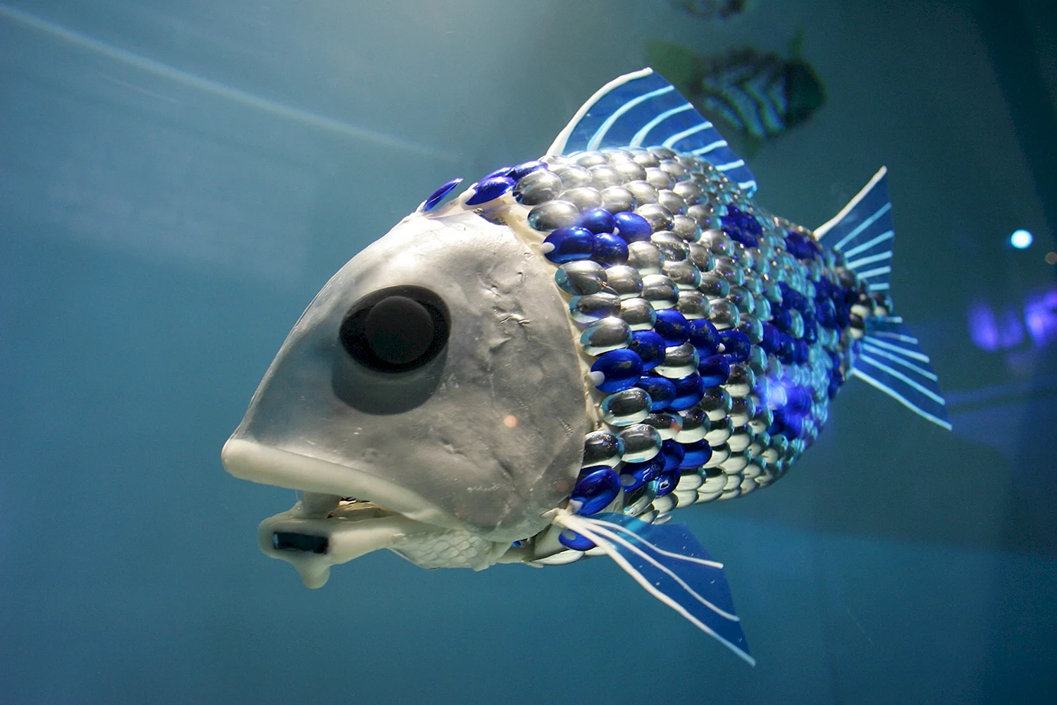 Глубоководные рыбы японского моря