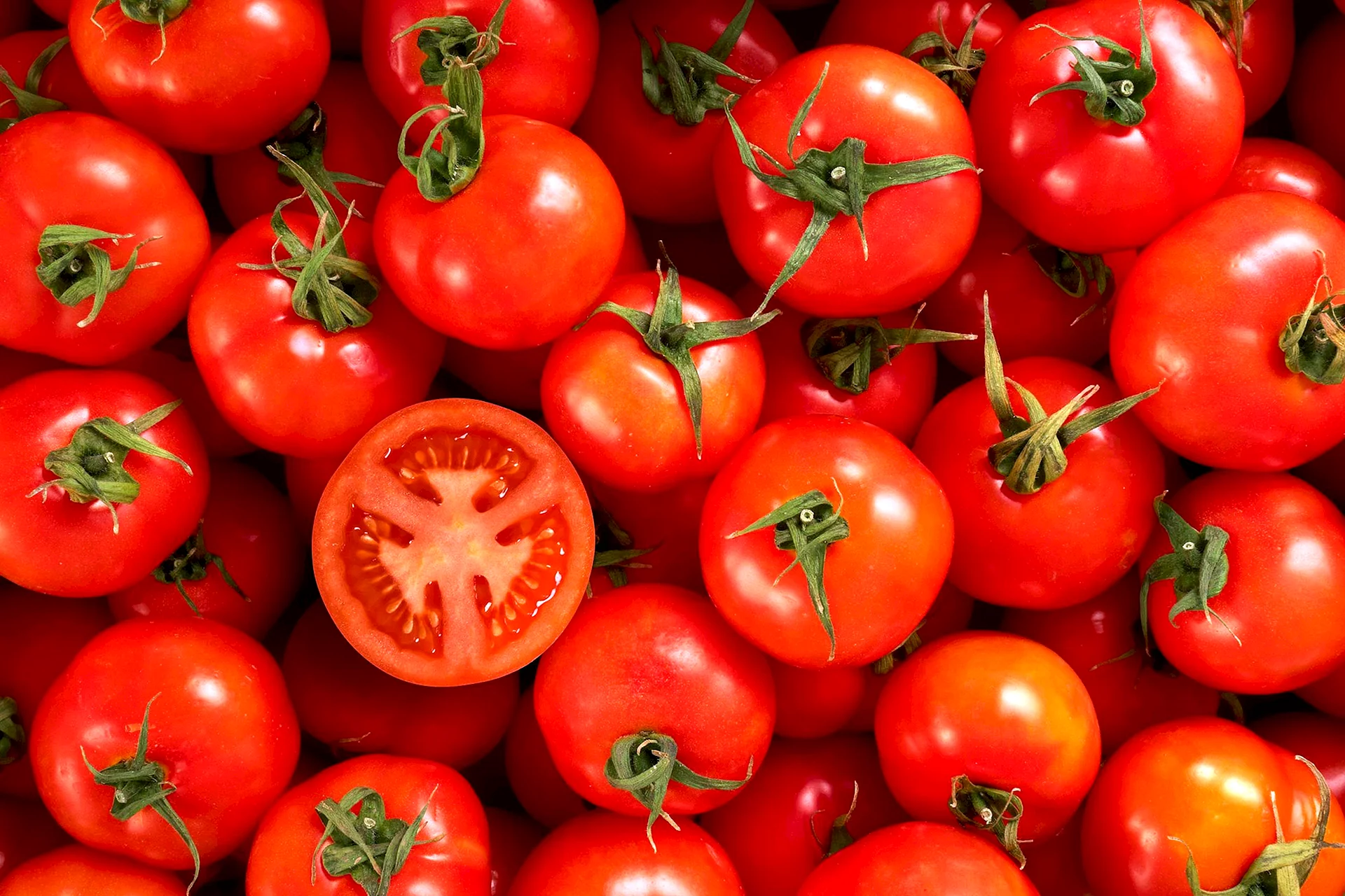 ГМО помидоры