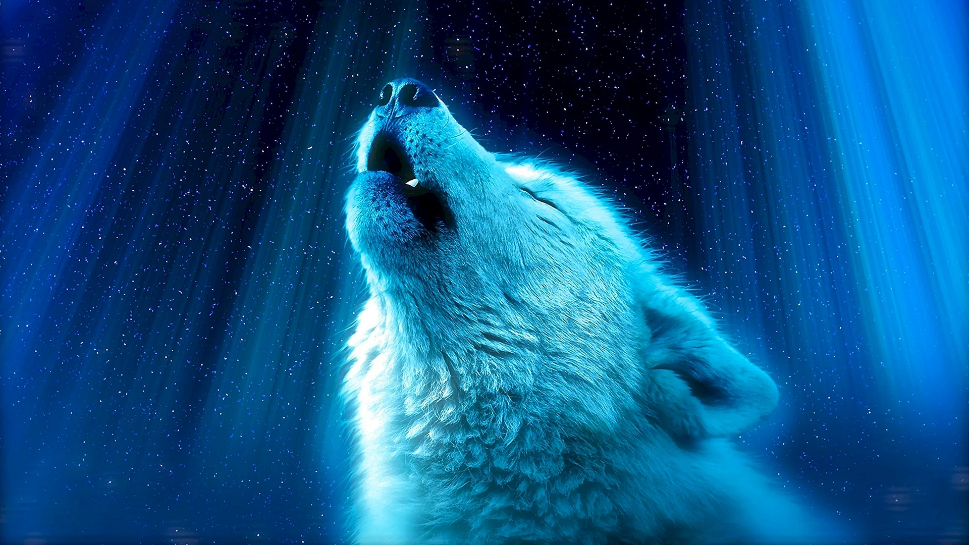 Голубой волк