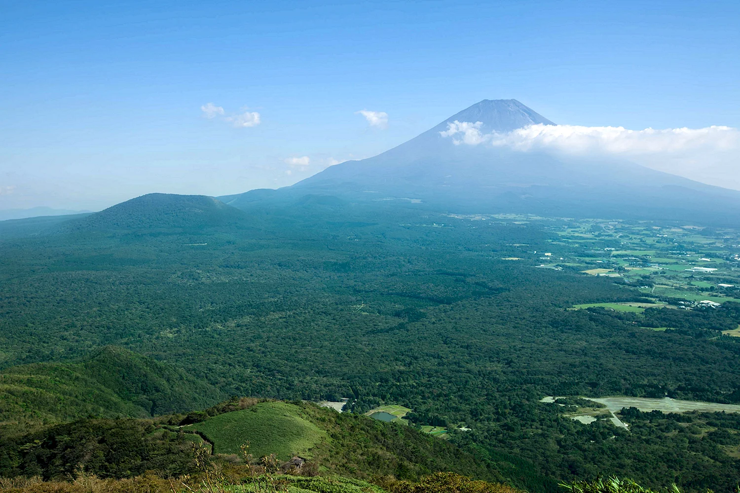 Гора Фуджи лес Аокигахара