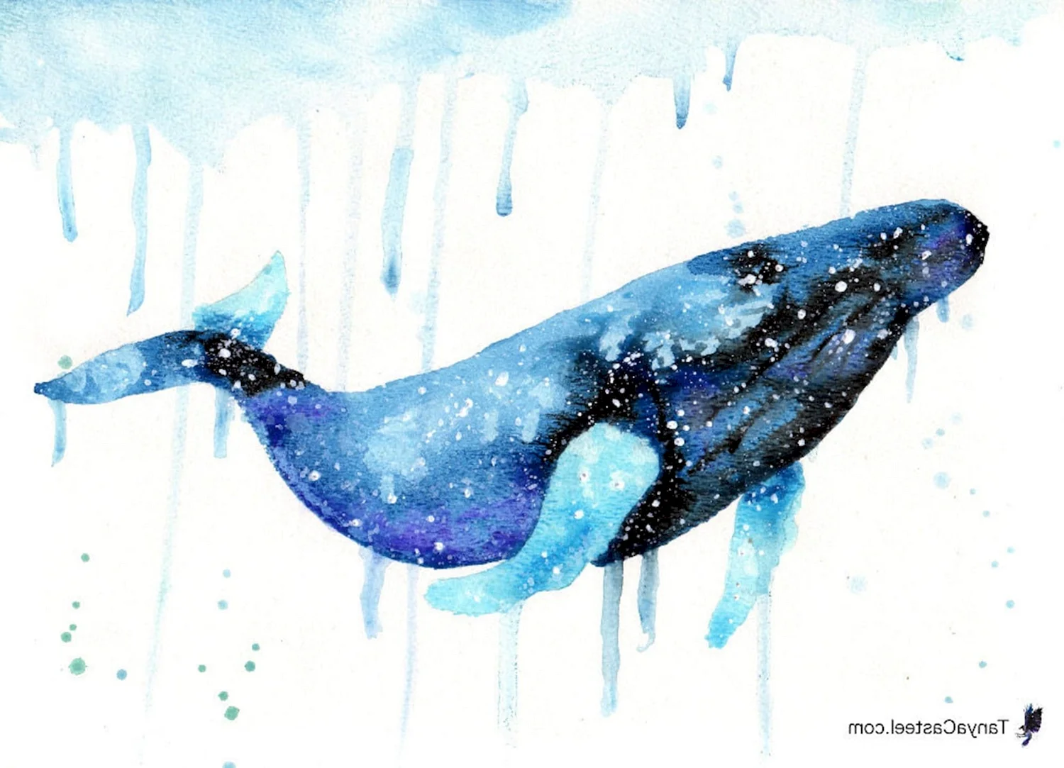 Горбатый кит в акварели