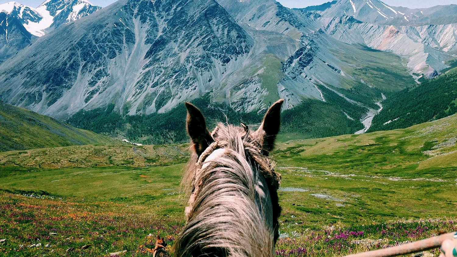 Горный Алтай горы кони