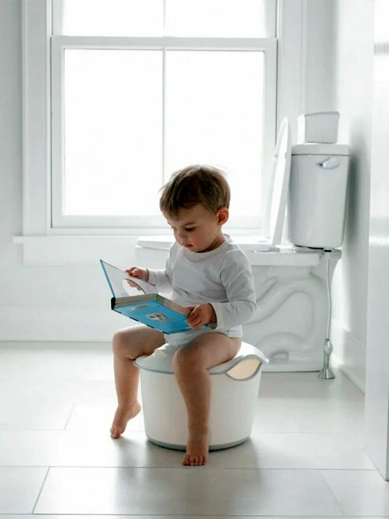 Горшок детский Ubbi 3 в 1 ( горшок; подставка; сиденье для туалета)