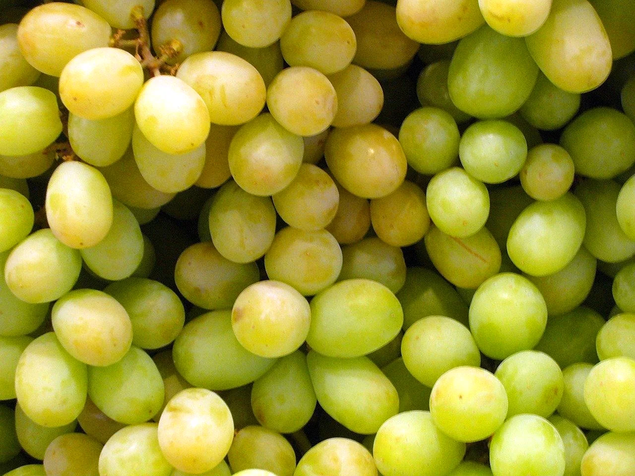 Grape (виноград) (зеленый)