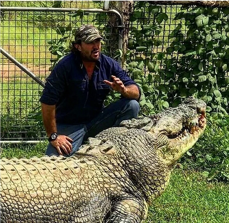 Гребнистый крокодил самый большой