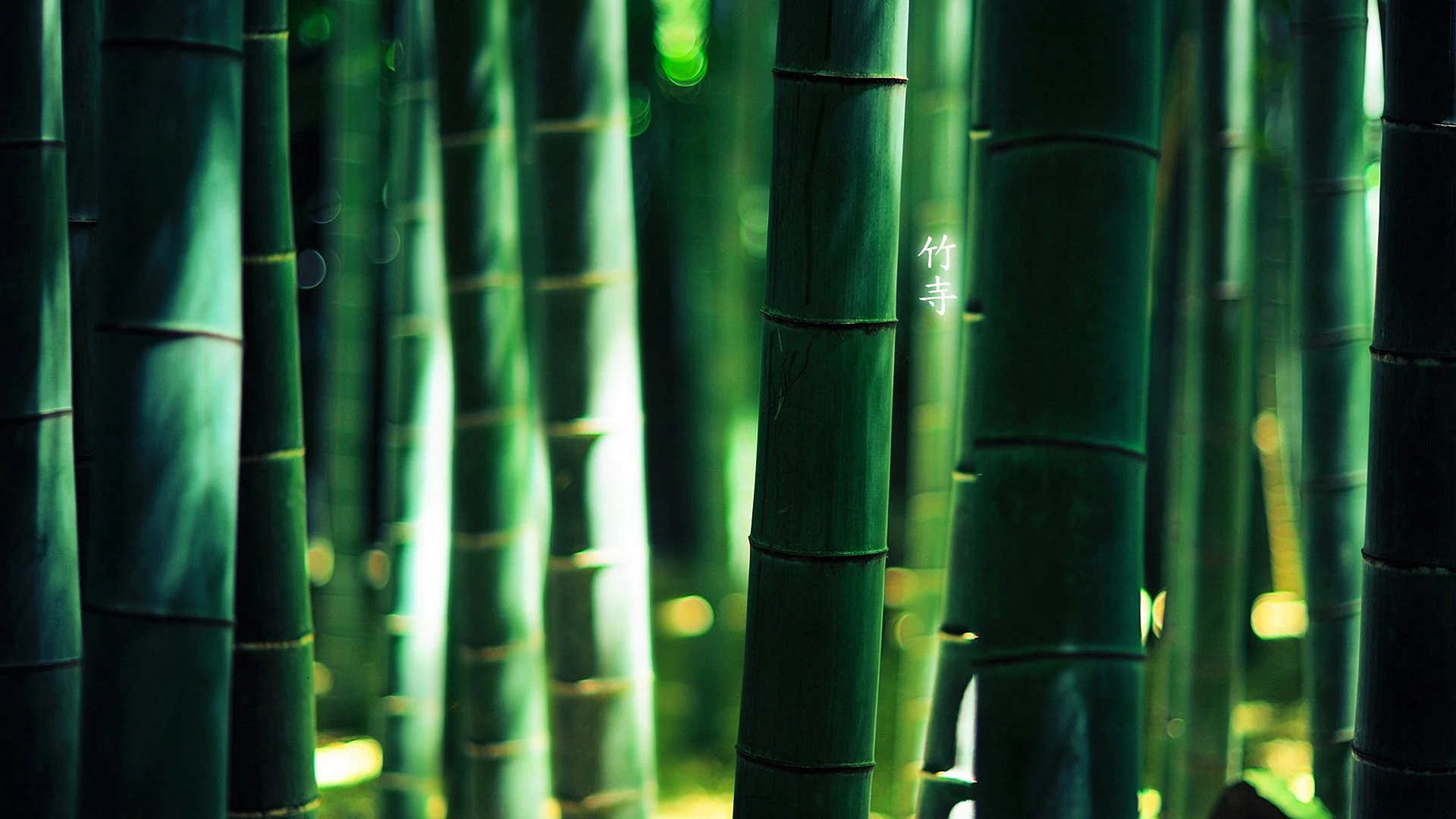 Грин бамбук
