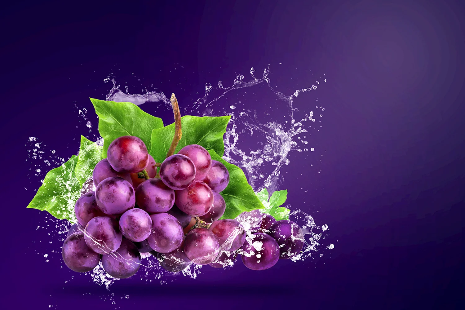 Грозди винограда фиолетового