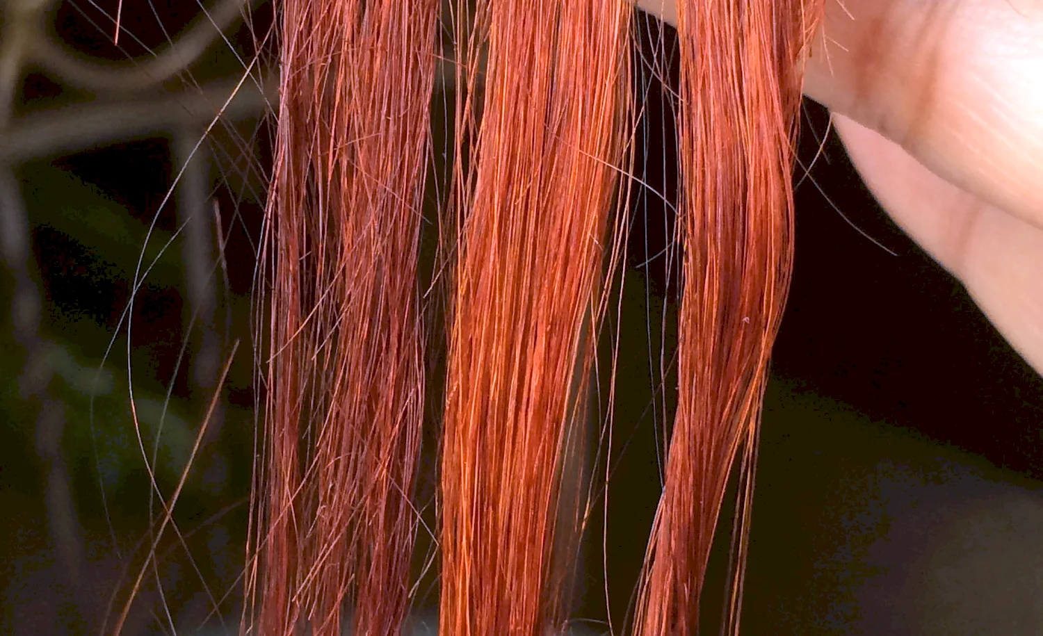 Henna hair Dye