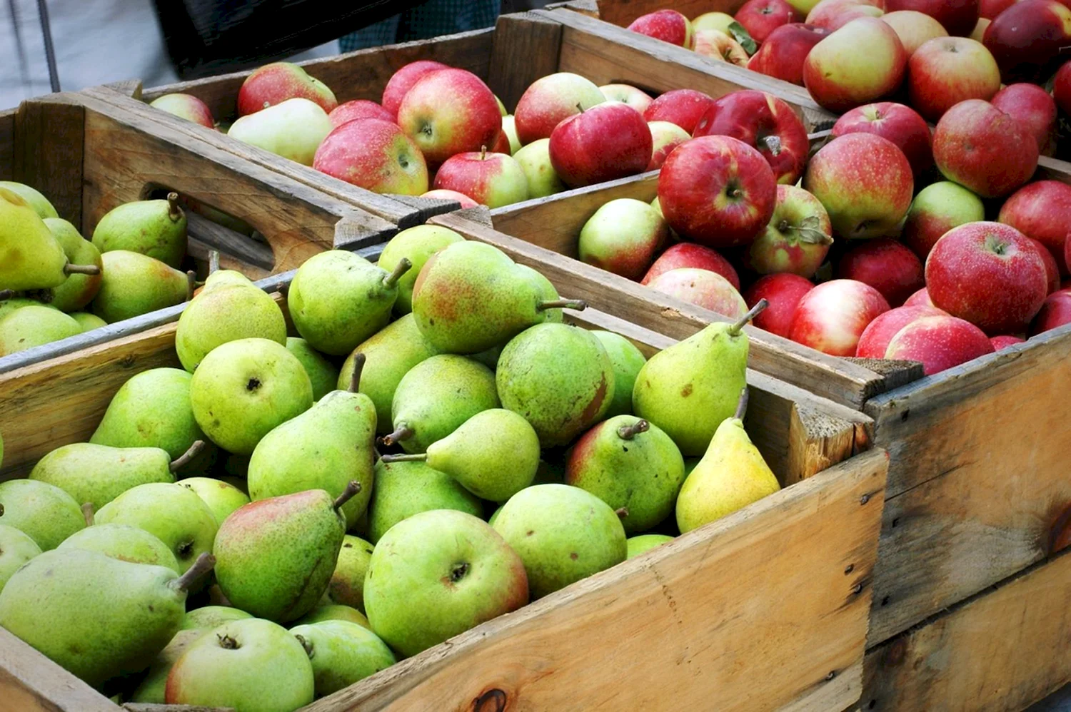 Яблоки и груши в ящиках