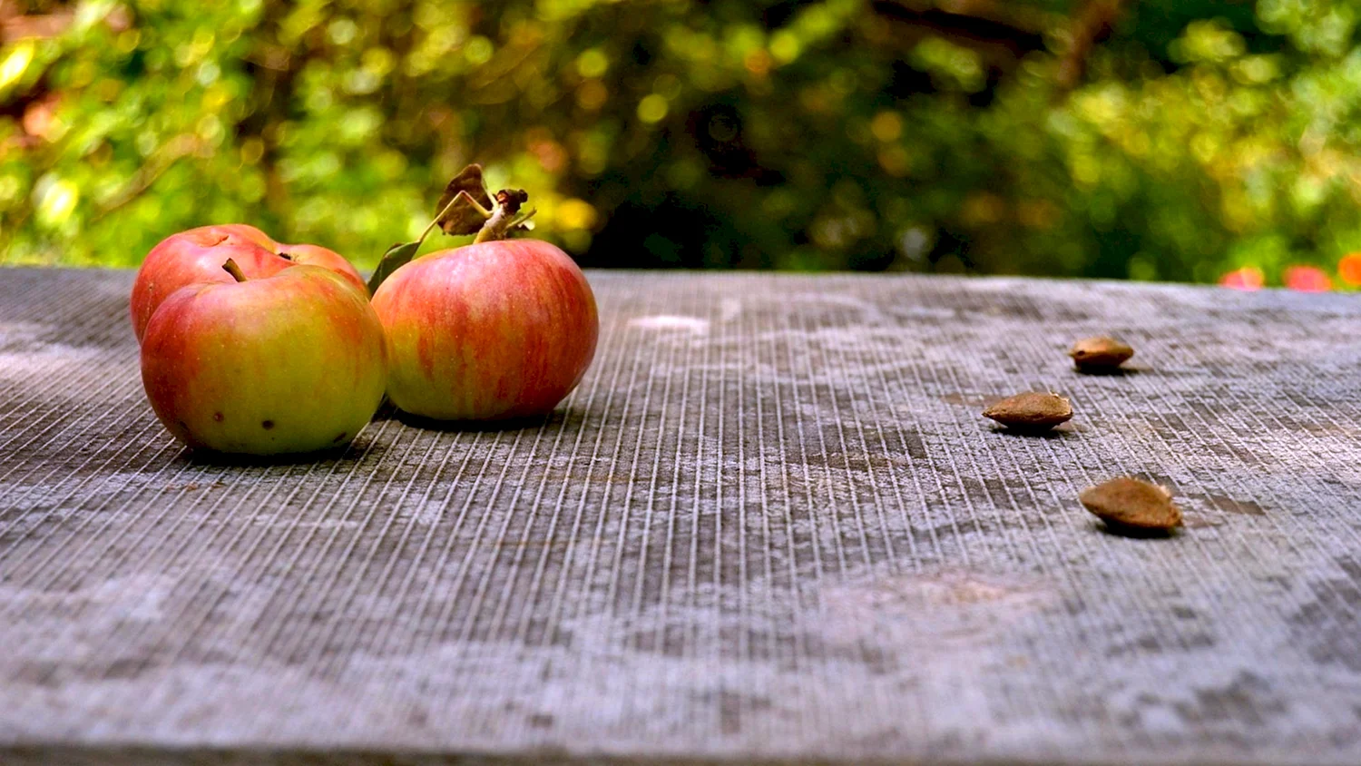 Яблоки на деревянном столе