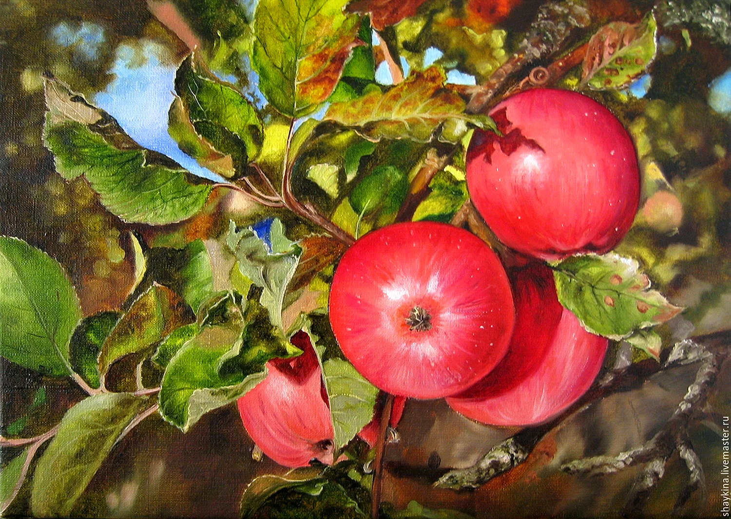Яблоки на ветке живопись