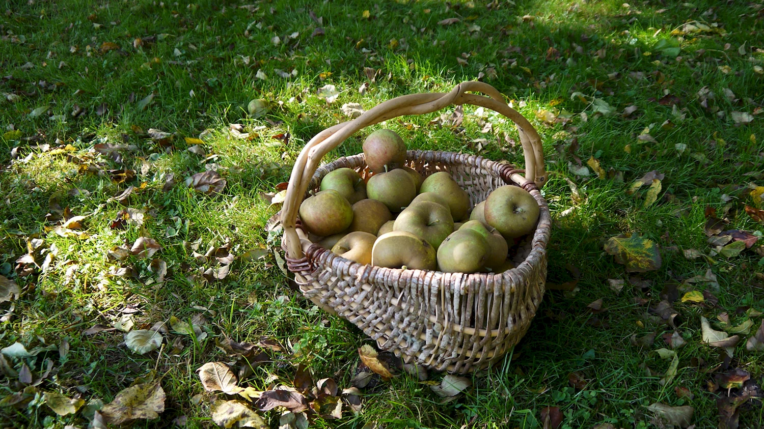 Яблоневый сад корзина