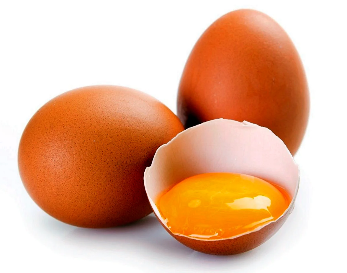 Яйцо пищевой продукт