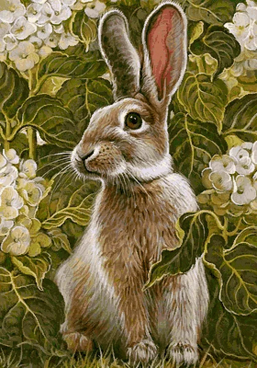 Яна Мовчан художник картины кролики