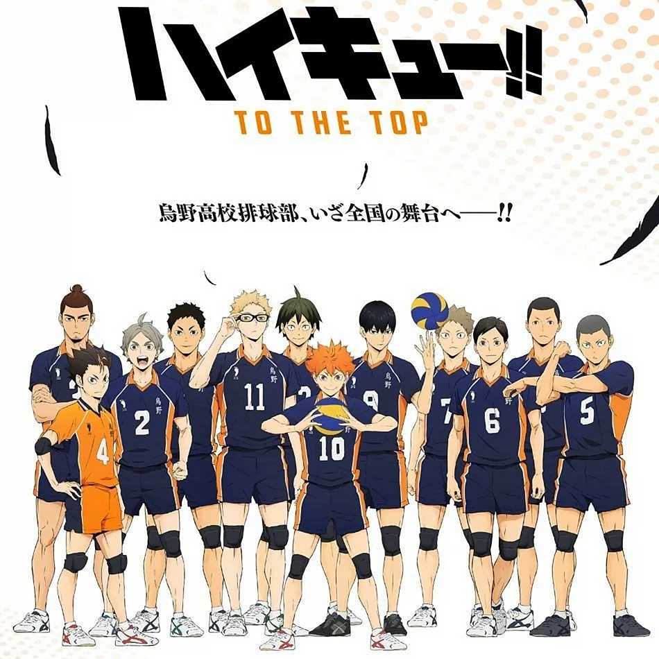 Японская волейбольная команда Карасуно