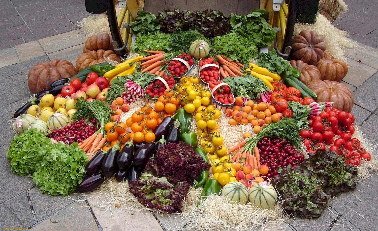Ярмарка овощей и фруктов
