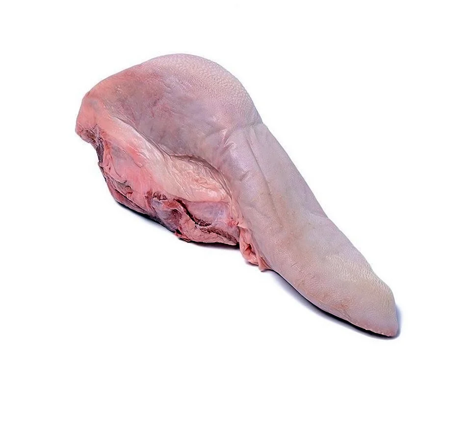 Язык го