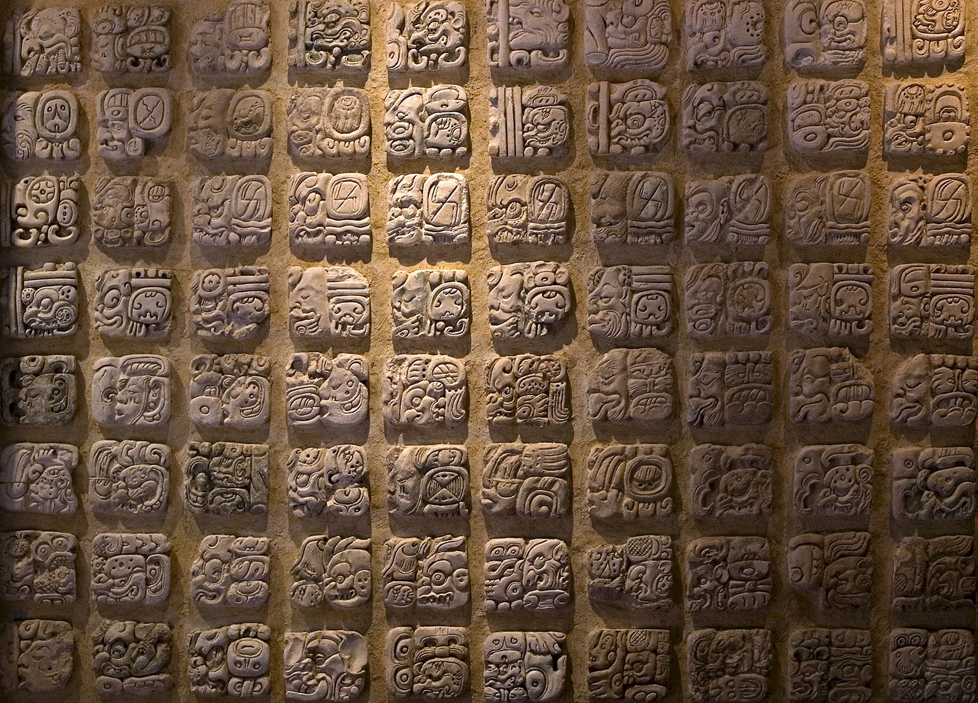 Иероглифическая письменность Майя