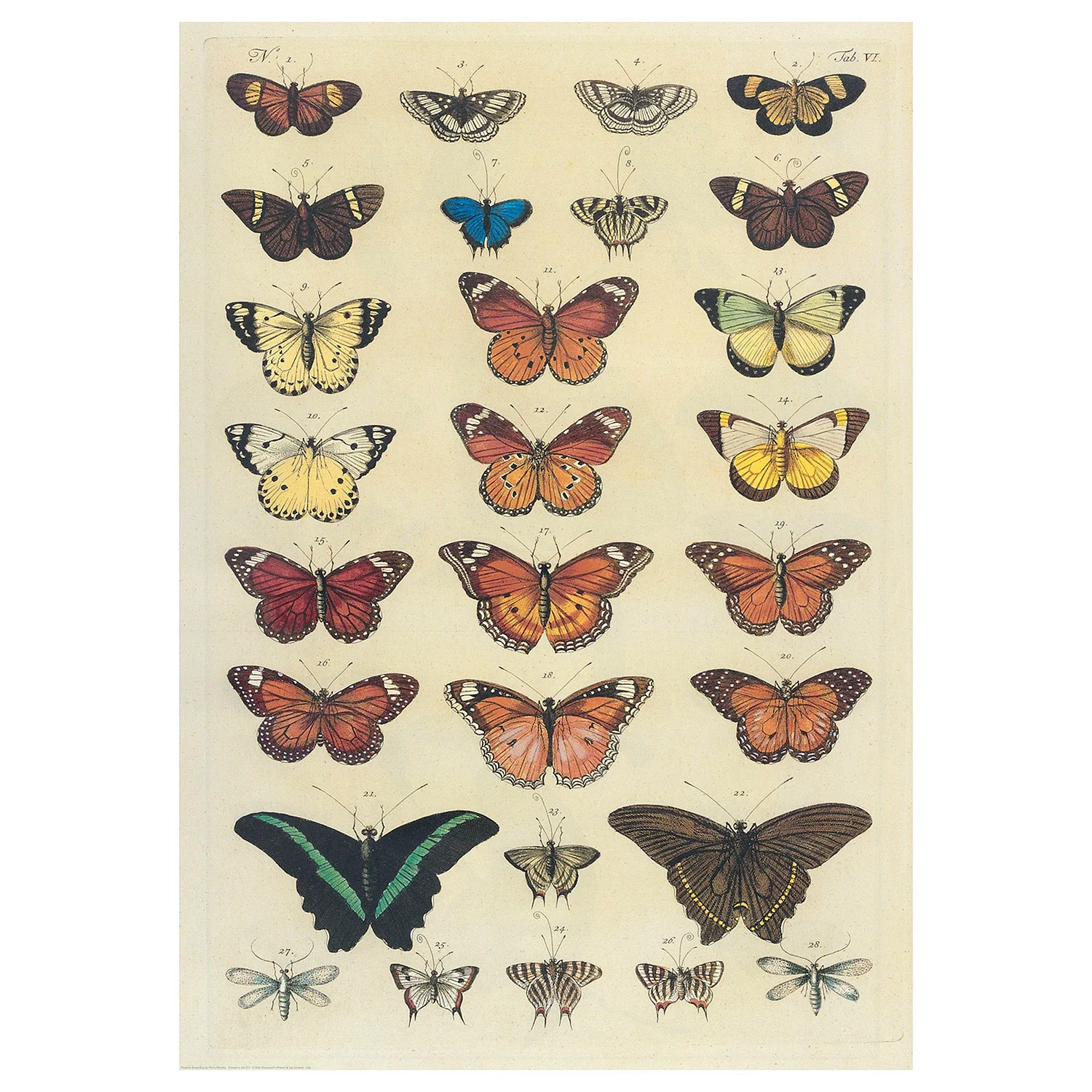 Икеа Постер бабочки Бильд