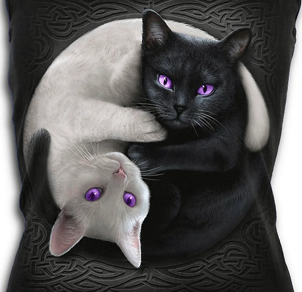 Инь Янь кошки