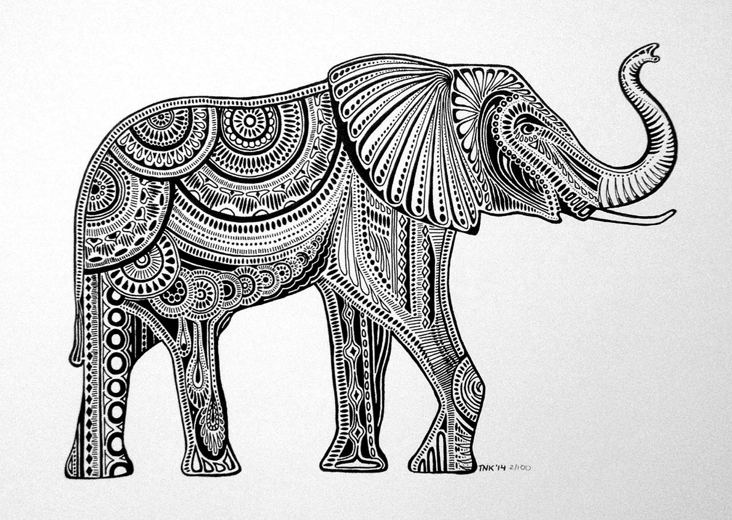 Индийский слон стилизация
