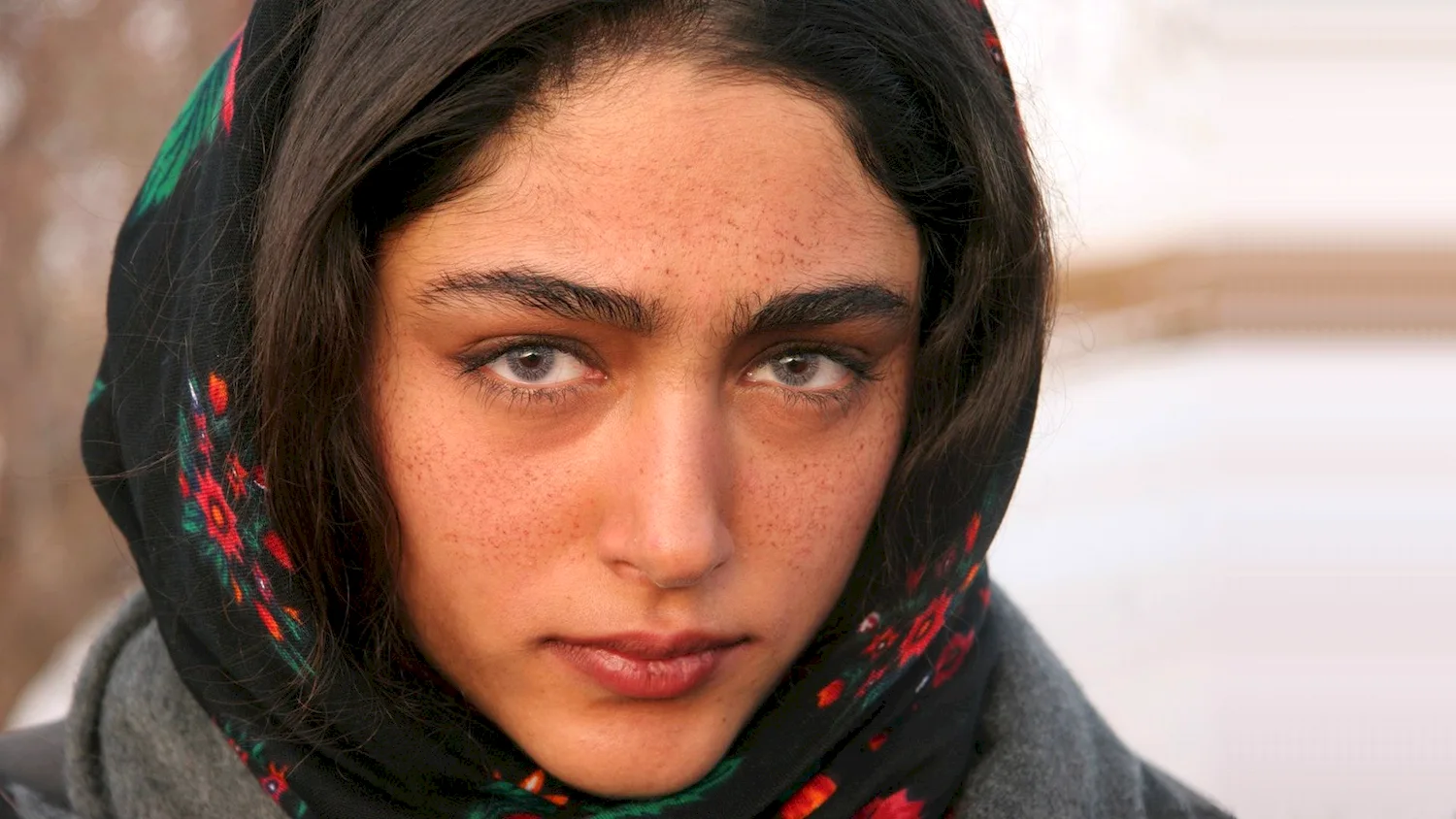 Иранская актриса гольшифте Фарахани