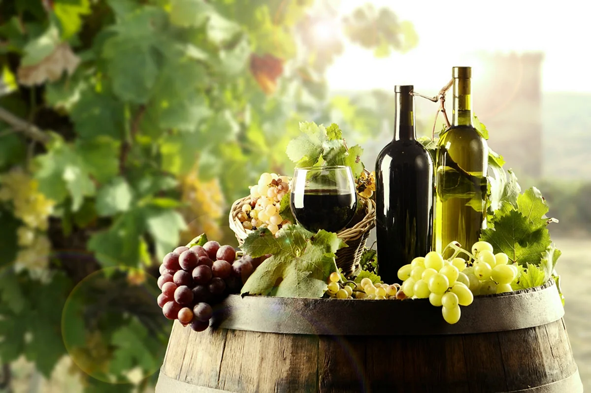 Италия вино виноград