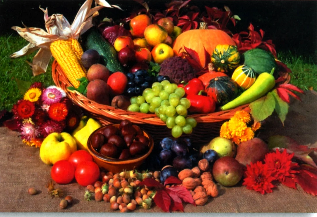 Изобилие фруктов и овощей