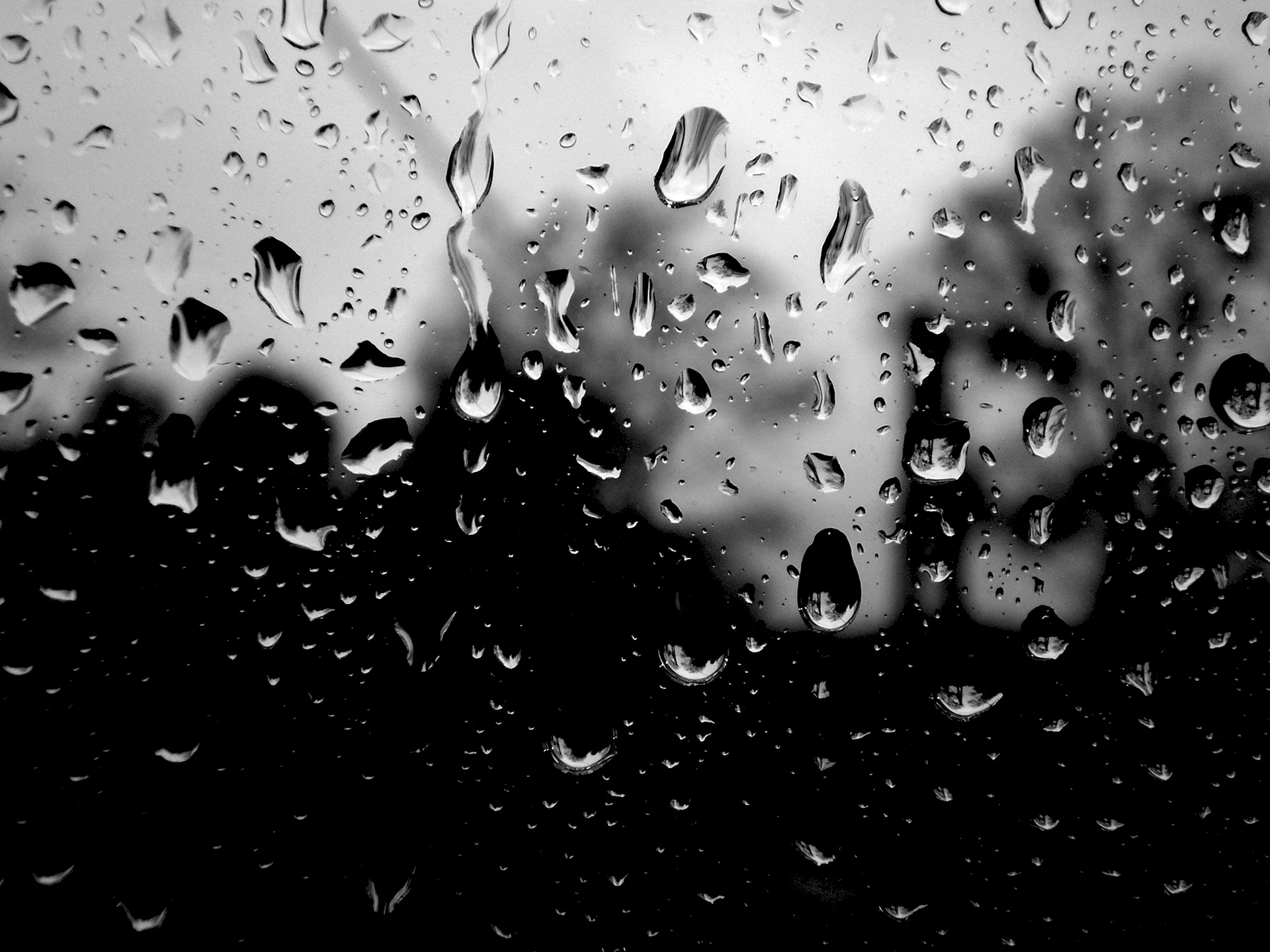 Капли дождя на черном фоне