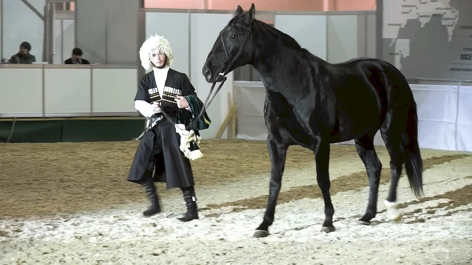 Карачаевский лошадь Къарча