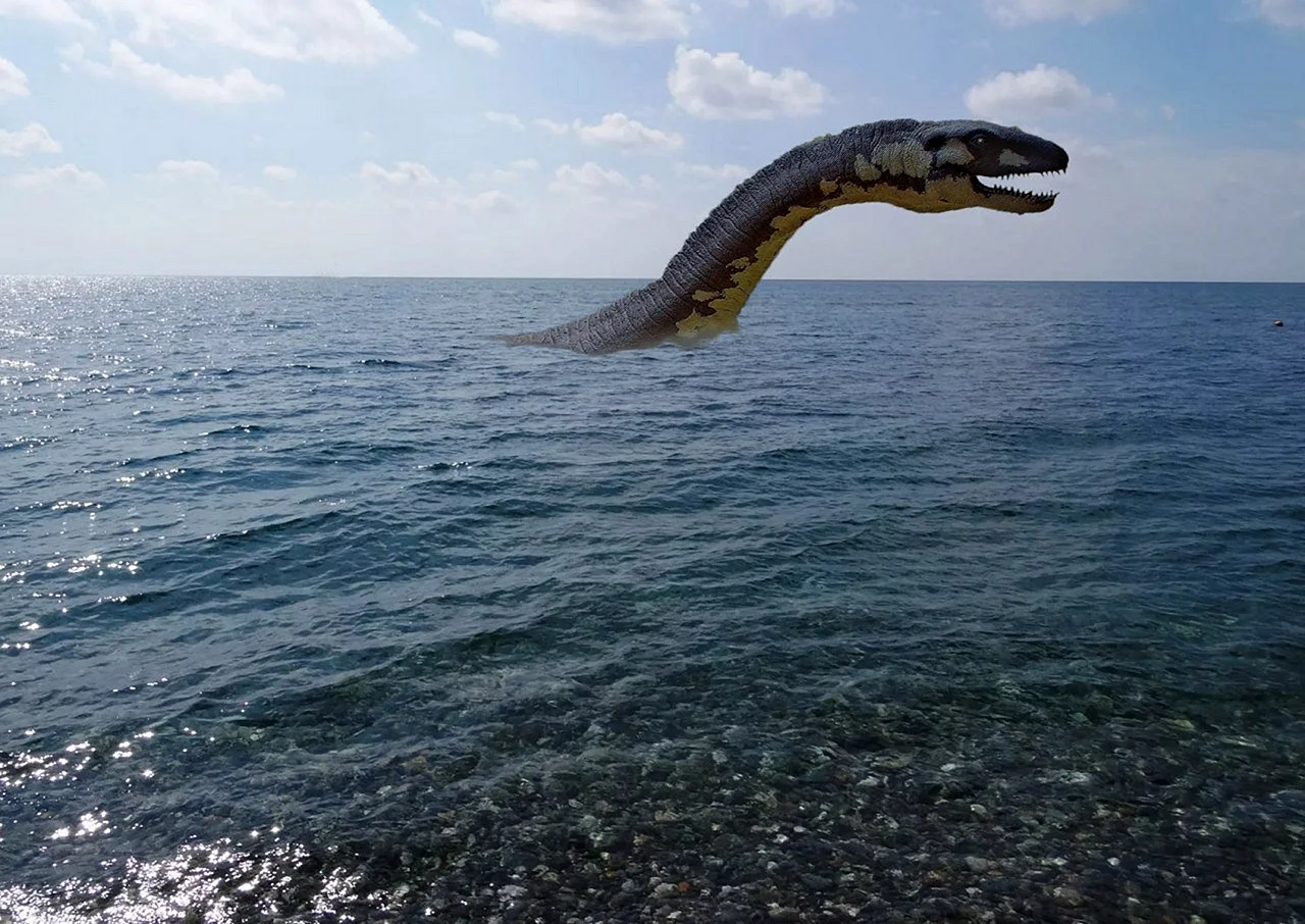 Карадагский змей в черном море