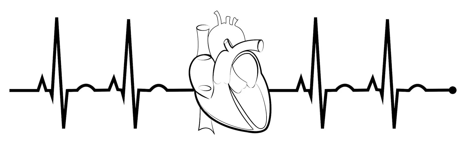Кардиограмма сердца
