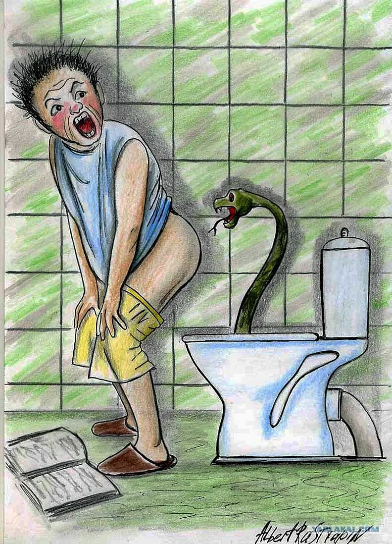 Карикатура в туалет прикольные