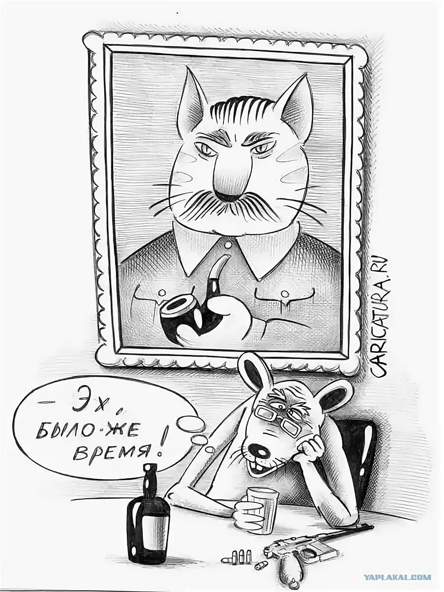 Карикатуры про котов
