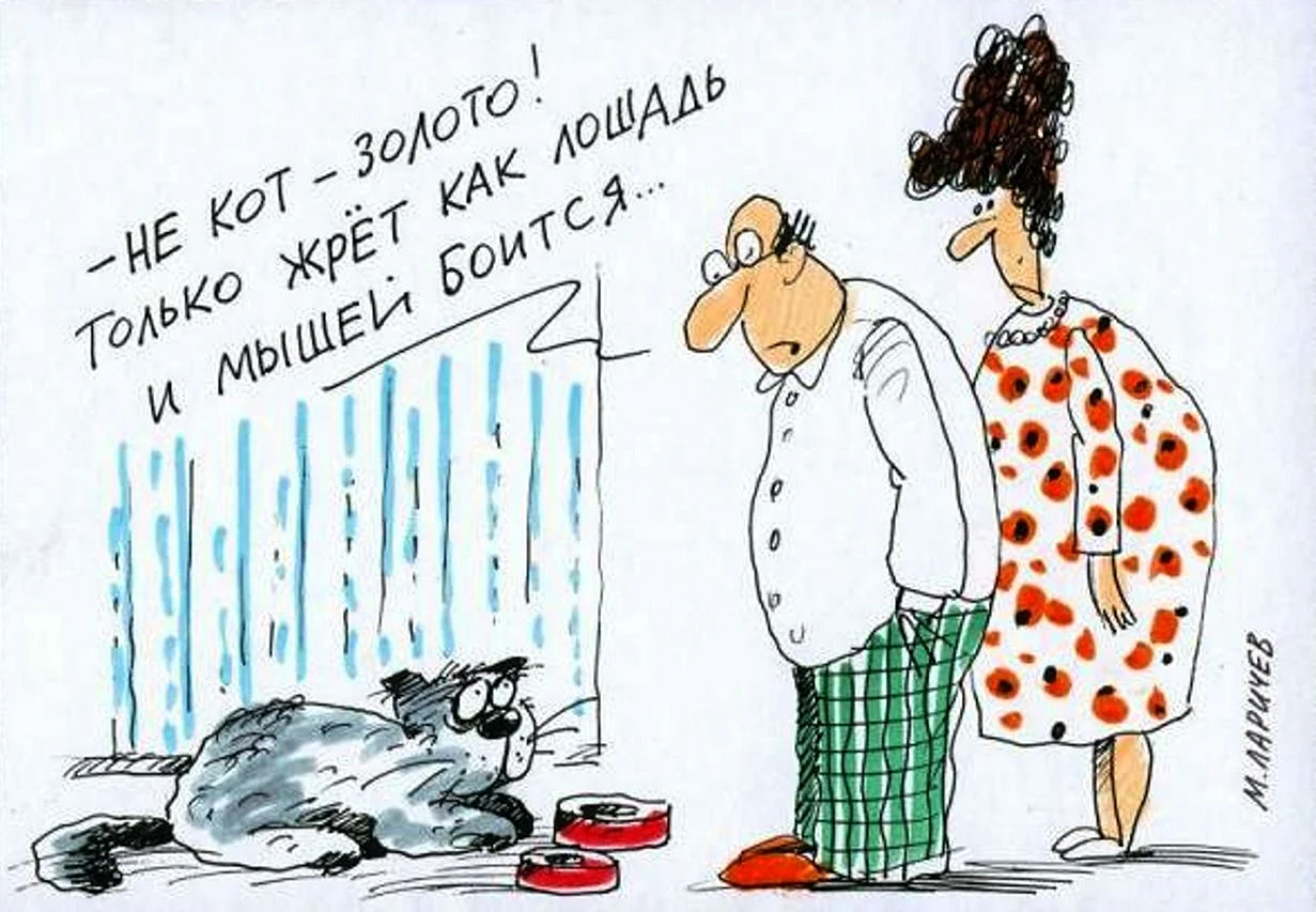 Карикатуры про котов