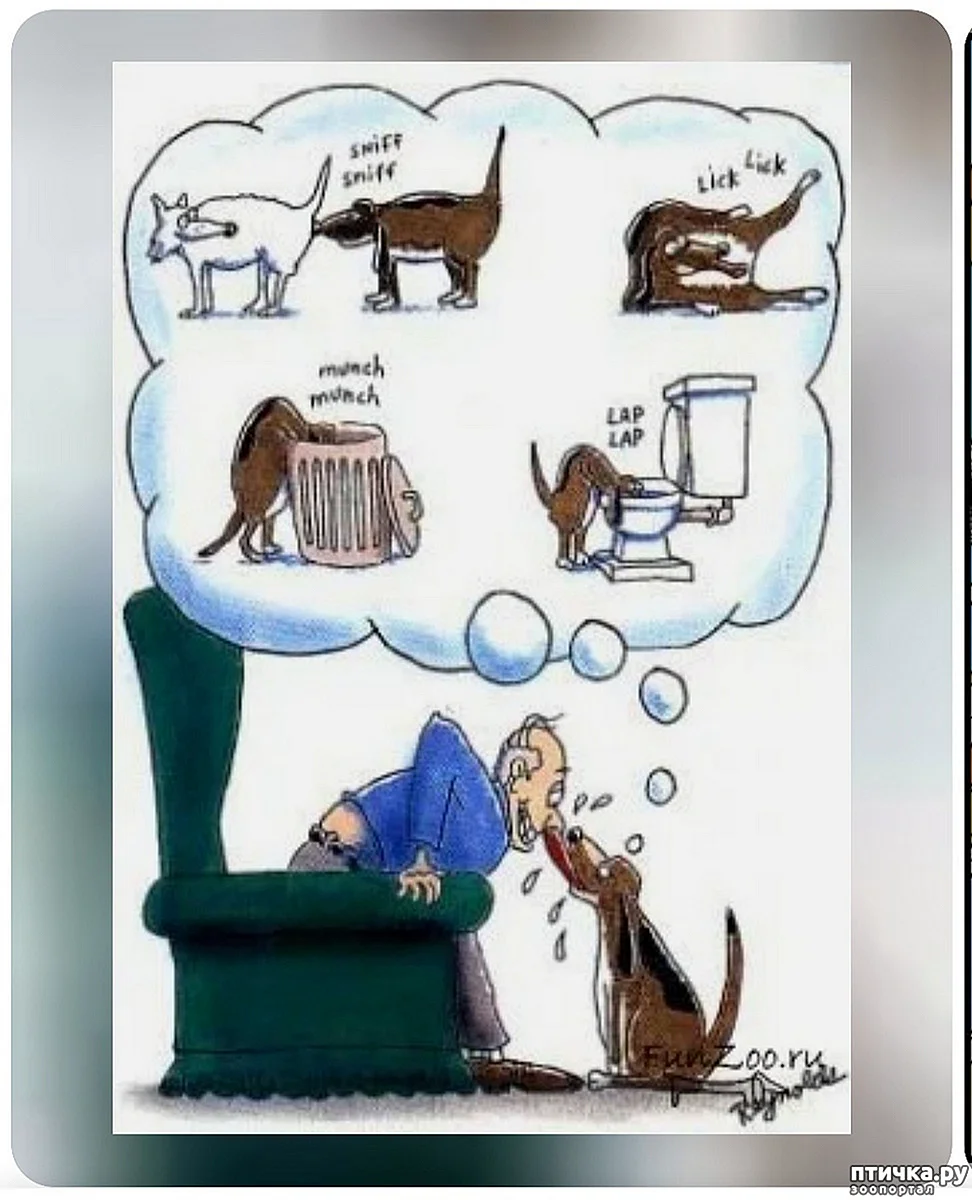 Карикатуры про собак и хозяев