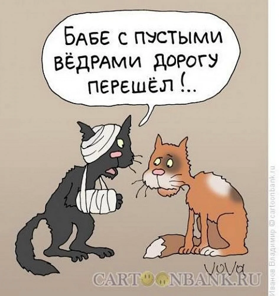 Карикатуры с котами