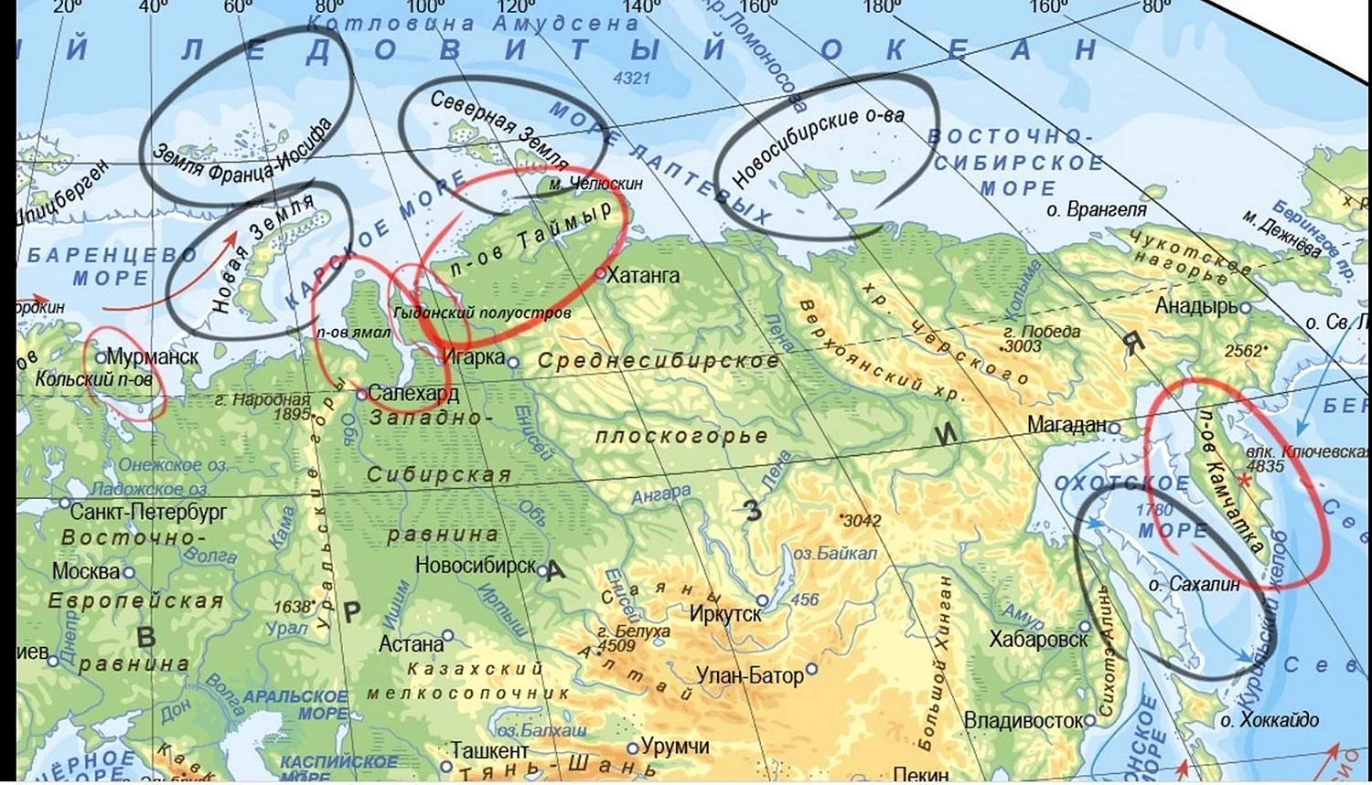 Карта России с островами и полуостровами и морями