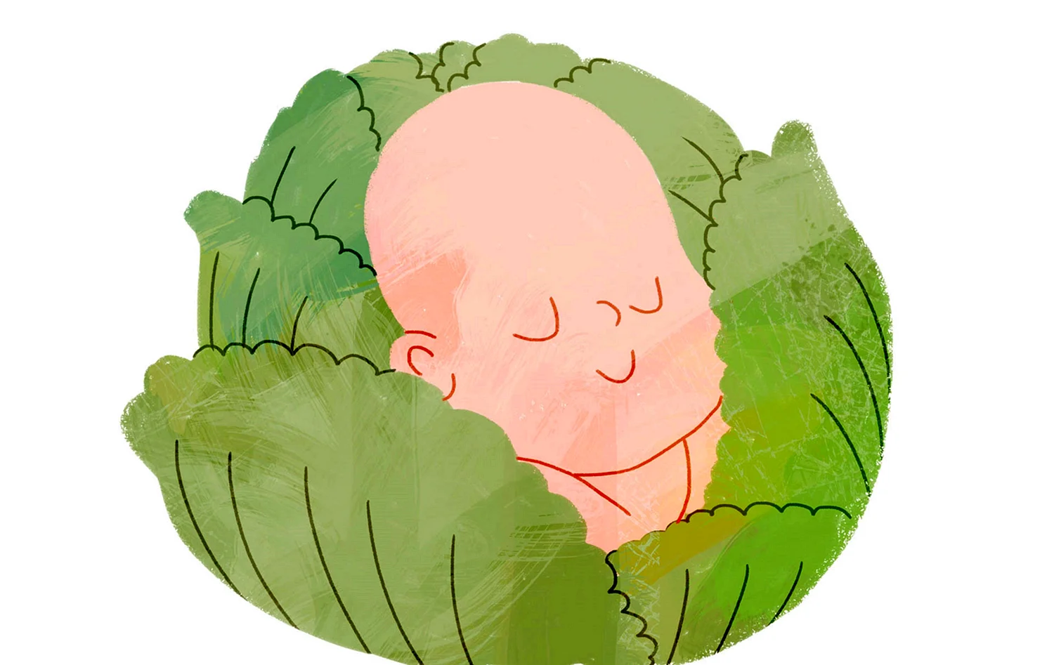 Картина младенец в капусте