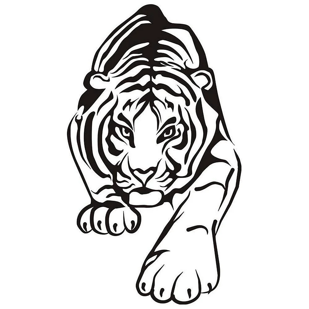 Картинки тигров для срисовки