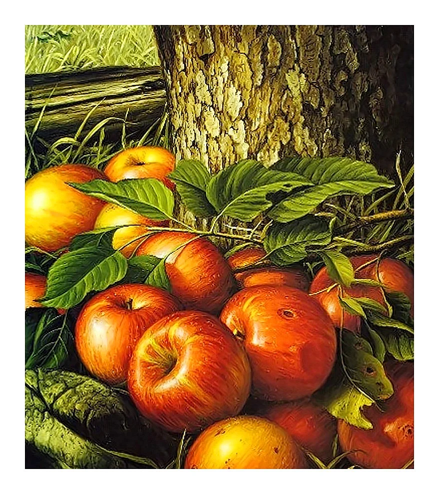Картины с яблоками маслом