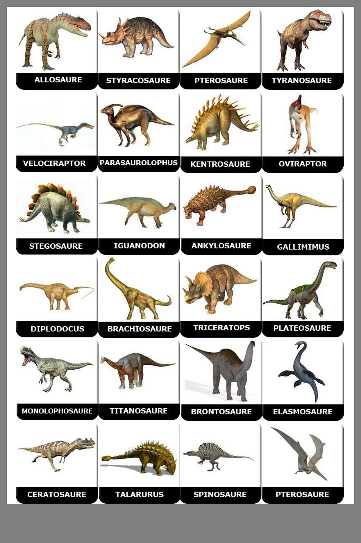 Карточки динозавры для детей