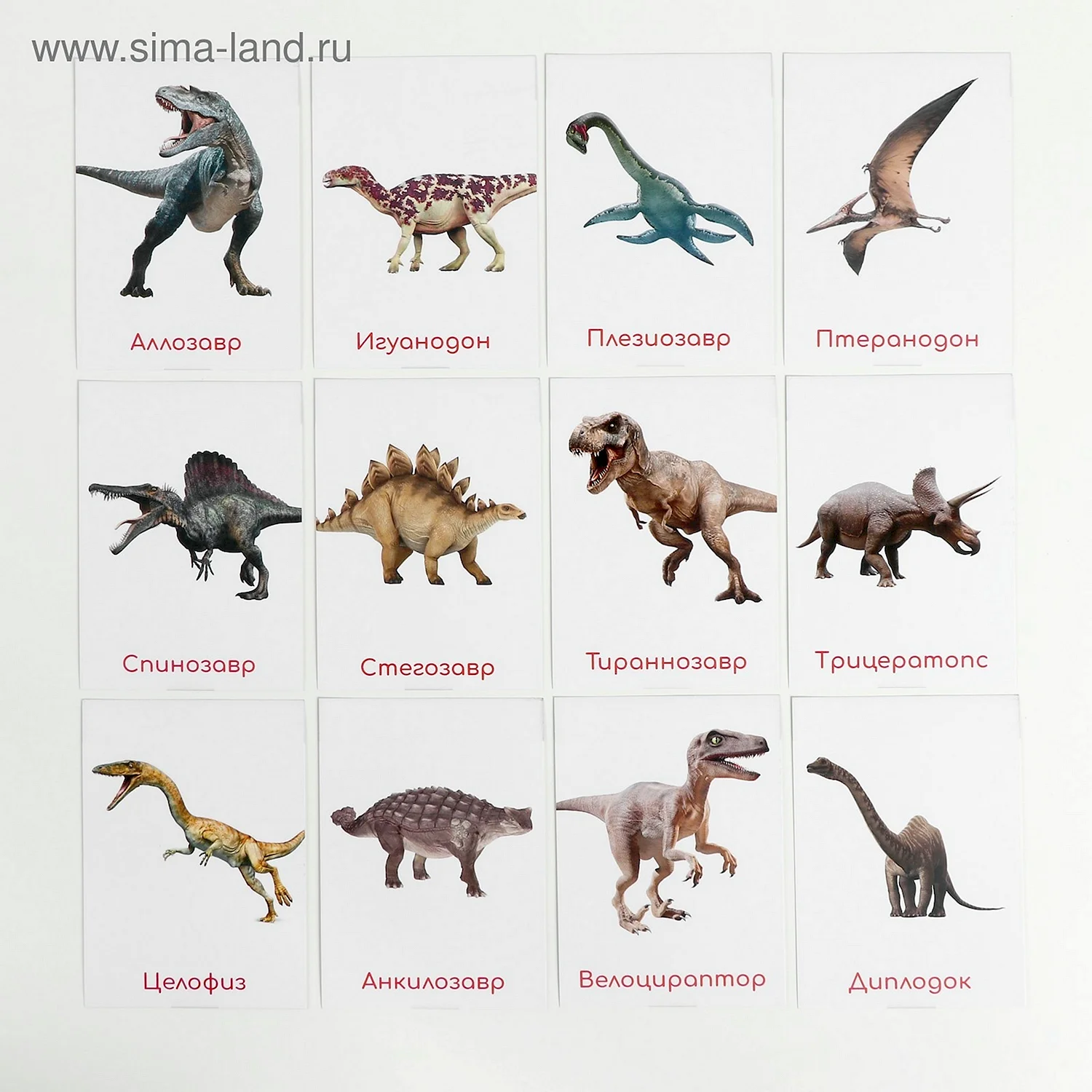 Карточки Глен Домана динозавры названия